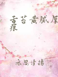 舌苔黄腻厚有齿痕