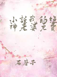 小说我的绝美女神老婆免费阅读全文