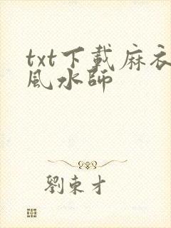txt下载麻衣风水师