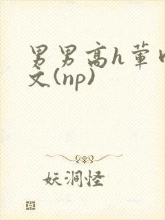 男男高h荤肉欲文(np)