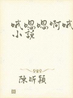 哦嗯嗯啊哦嗯啊小说