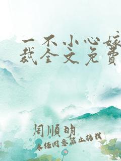 一不小心嫁了总裁全文免费阅读