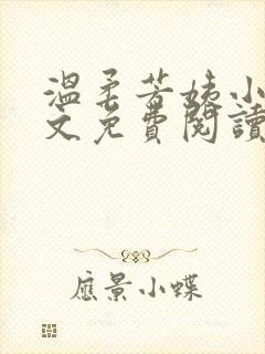 温柔芳姨小说全文免费阅读