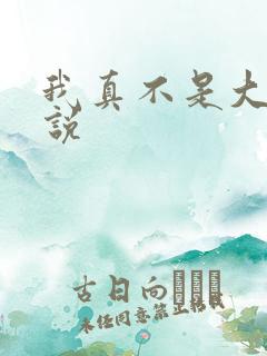 我真不是大佬小说