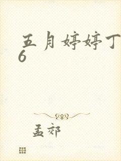 五月婷婷丁香96