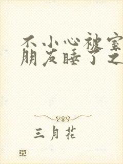 不小心被室友男朋友睡了之后 小说