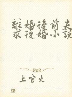 离婚后前夫哭着求复婚小说免费