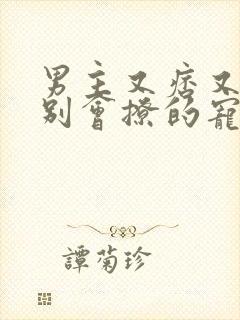 男主又痞又坏特别会撩的宠文古言