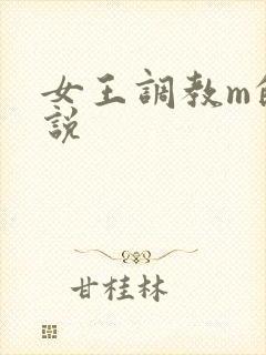 女王调教m的小说