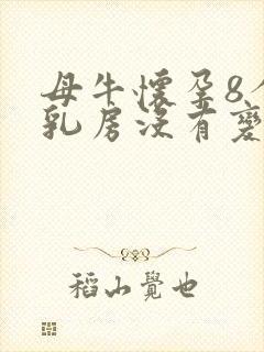 母牛怀孕8个月乳房没有变大