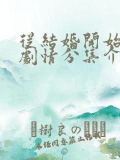 从结婚开始恋爱剧情分集介绍