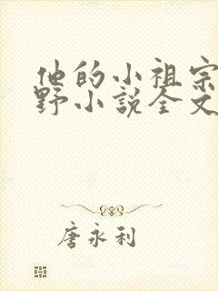 他的小祖宗甜又野小说全文免费阅读