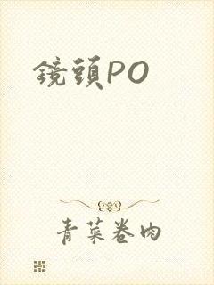 镜头PO