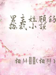 男主姓顾的现代总裁小说