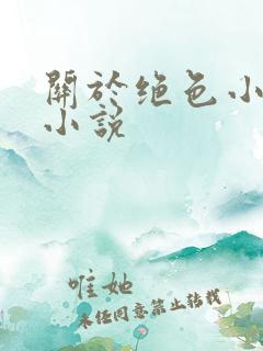 关于绝色小姨的小说