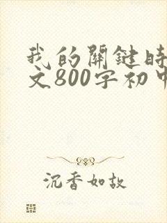 我的关键时刻作文800字初中