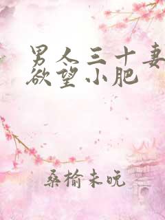 男人三十妻子的欲望小肥