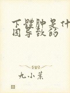 下体肿是什么原因导致的