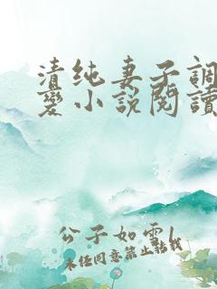 清纯妻子调教改变小说阅读全文