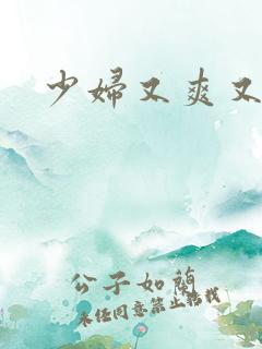 少妇又爽又刺激