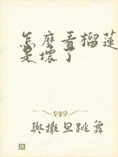 怎么看榴莲是不是坏了