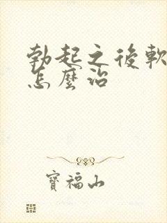 勃起之后软的快怎么治