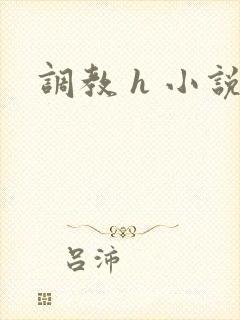调教 h 小说