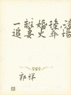 一离婚后,渣总追妻火葬场