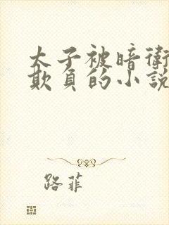 太子被暗卫轮流欺负的小说