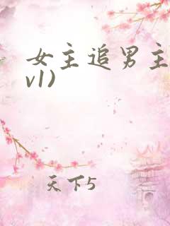 女主追男主(1v1)