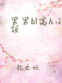 男男bl高h小说