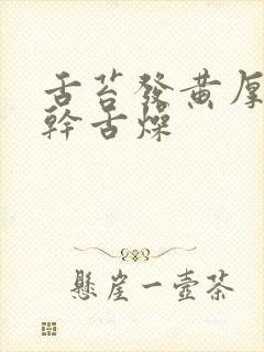 舌苔发黄厚腻口干舌燥