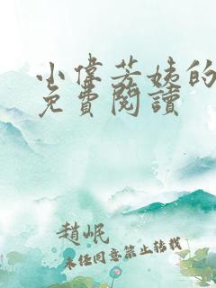 小伟芳姨的小说免费阅读