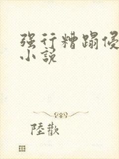 强行糟蹋侵犯h小说