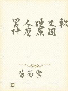 男人硬又软了是什么原因