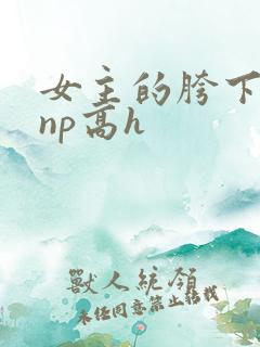 女主的胯下男奴np高h