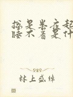 总是半夜起夜就睡不着是什么原因