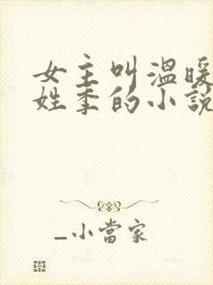 女主叫温暖男主姓季的小说