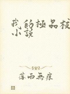 我的极品校花 小说