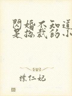 闪婚不知道老公是总裁的小说