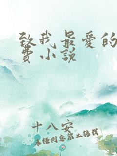 致我最爱的你免费小说