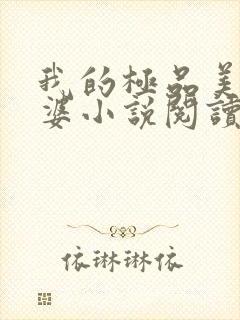 我的极品美女老婆小说阅读