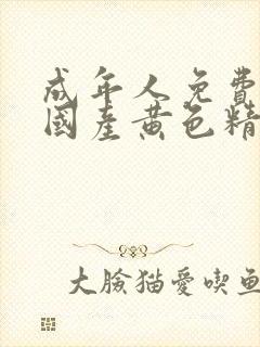 成年人免费观看国产黄色精品网站