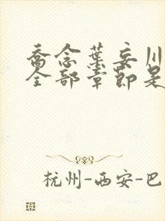 乔念叶妄川小说全部章节是多少节