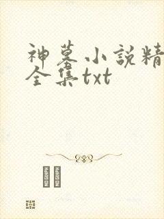 神墓小说精校版全集txt