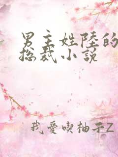 男主姓陆的所有总裁小说