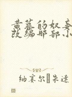 黄蓉的奴妾小说改编哪部小说