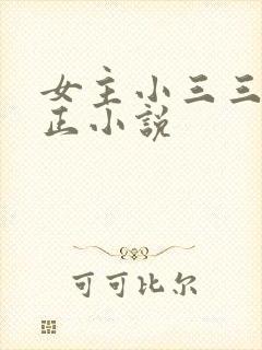 女主小三三观不正小说