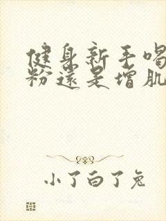 健身新手喝蛋白粉还是增肌粉