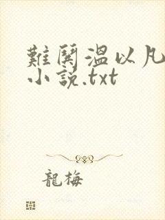 难哄温以凡桑延小说.txt